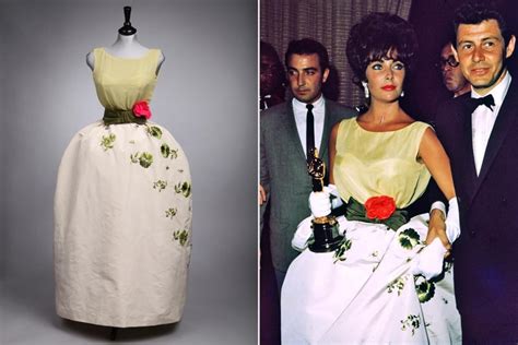 dior dress for liz tailor|elizabeth taylor christian dress.